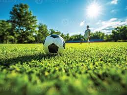 体育媒体工作者使用捷报手机足球即时比分获取数据